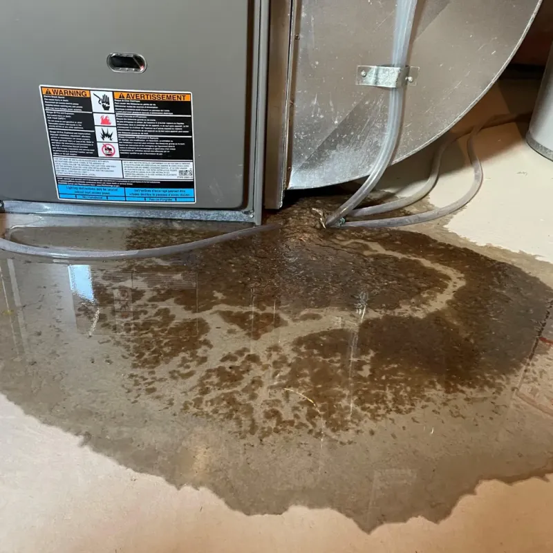 Appliance Leak Cleanup in Ascension Parish, LA